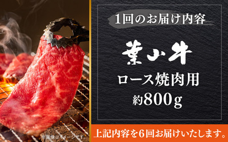 【全6回定期便】【葉山牛】800g　ロース焼肉用 ／ 牛肉 黒毛和牛 神奈川県 特産品【葉山牛ステーキレストラン 角車】[ASBD058]