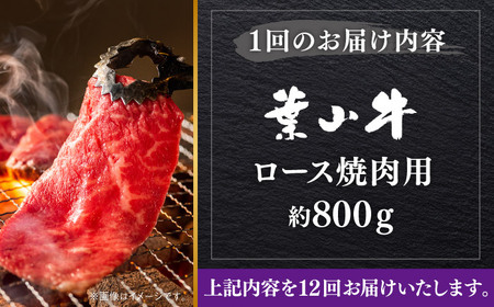 【全12回定期便】【葉山牛】800g　ロース焼肉用 ／ 牛肉 黒毛和牛 神奈川県 特産品【葉山牛ステーキレストラン 角車】[ASBD059]