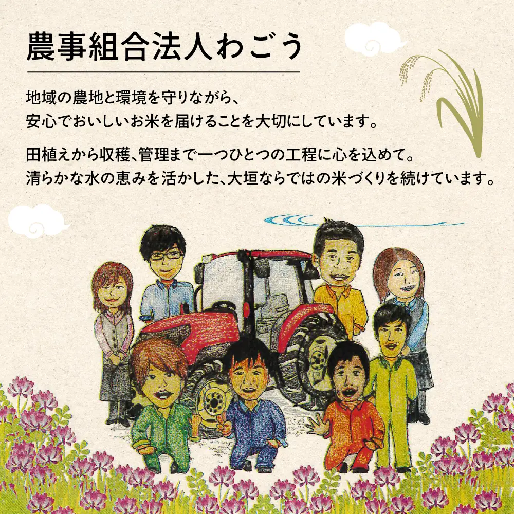 ≪令和7年度産≫もち米 モチミノリ 5kg｜もち米