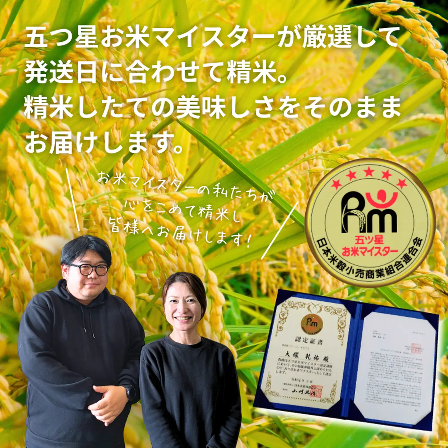 五つ星お米マイスターが厳選！【白米食べ比べ】さがびより5kg・夢しずく5kg 7年産 おこめ 米 ：B325-009