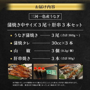 三河一色産 うなぎ蒲焼き 中3尾 ＋ 肝串焼き 3本 蒲焼タレ 肝串焼き 鰻 お魚 湯煎 惣菜 セット 簡単調理 冷凍 幸田町 送料無料