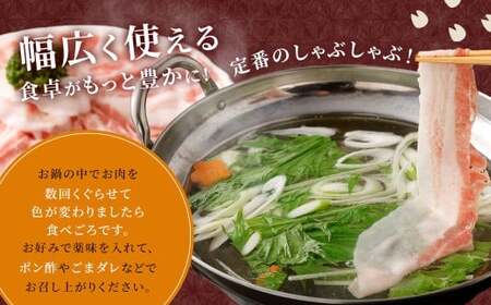 【6回定期便】鹿児島県産 黒豚バラ しゃぶしゃぶ  合計4.8kg（800g×6回） 黒豚 豚肉 豚バラ 肉 お肉 GS-207