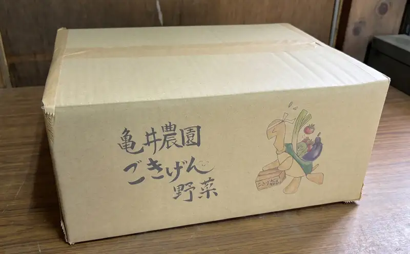訳あり ハウス桃太郎トマト6kg  トマト TOMATO 野菜