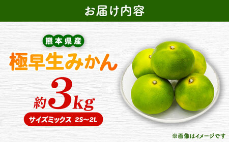 【先行予約】 極早生みかん 2S-2L 約3kg みかん 蜜柑 柑橘 フルーツ 果物 【日本フルーツ株式会社】[ZFJ053]