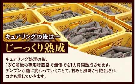 【訳あり】針山さんちのさつまいも 紅はるか 3kg / さつまいも 紅はるか 岡山県 野菜 【ybrf001-01】
