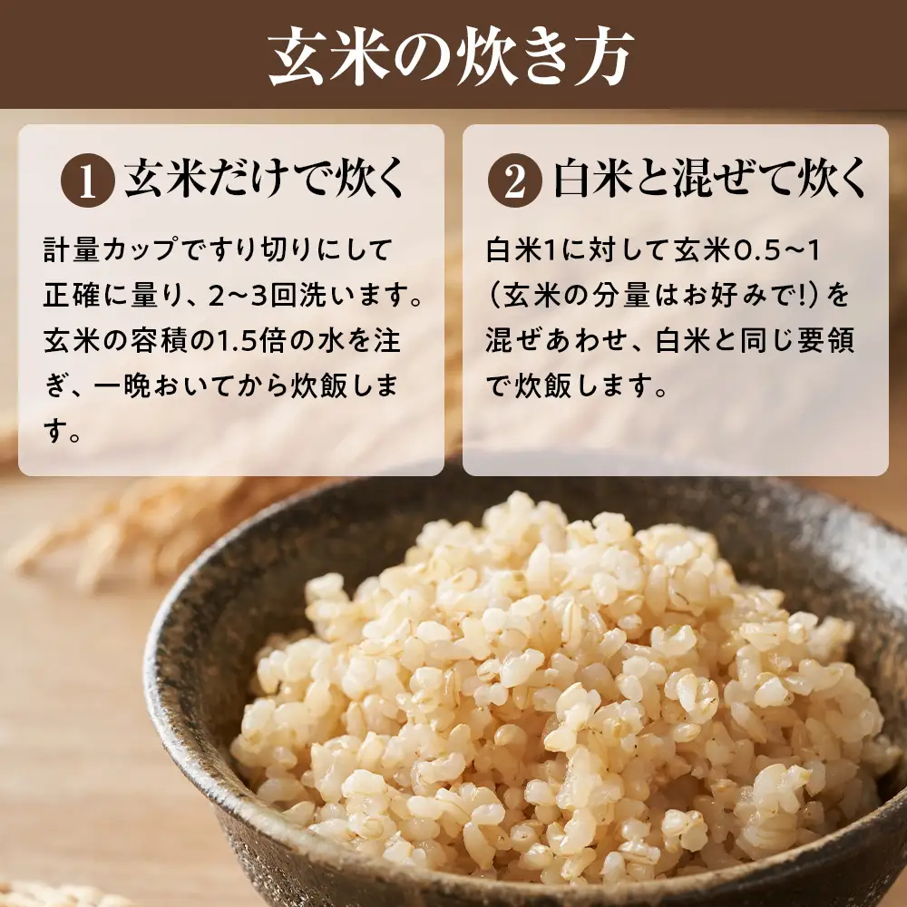 【令和7年産】近江米きぬむすめ玄米30kg