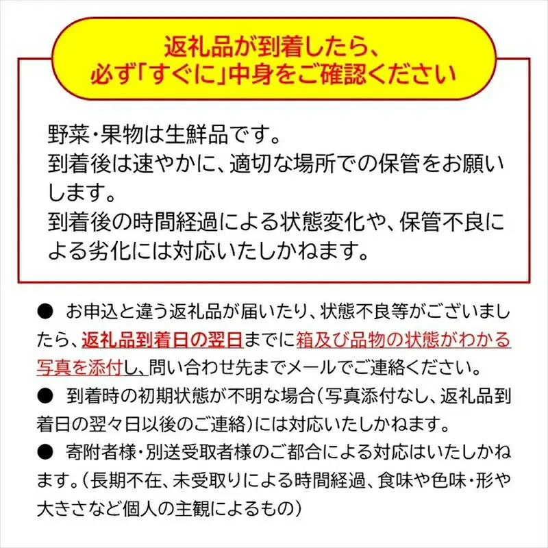 【期間限定／先行予約】朝穫れ完熟不揃いイチゴ約2.4kg（北海道・沖縄県・離島は発送不可）4種類のいちごから厳選 苺 ストロベリー 産地直送 長野県 佐久市 旬彩