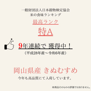 米 令和7年産 米 3kg×1袋 きぬむすめ 特A