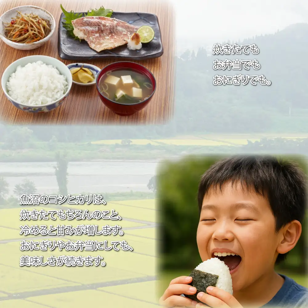 令和7年産 新潟県 魚沼産 無洗米 コシヒカリ2kg 精米 一等米  天糧