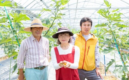 いちじく（とよみつひめ）8パック【2026年8月上旬～2026年9月中旬発送予定】 いちじく フルーツ 果物 くだもの 冷蔵 福岡県 うきは市