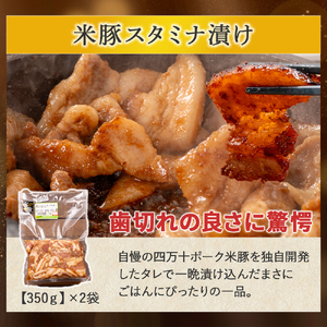 米で育った「しまんと米豚の食べ比べバラエティセット」合計1870g Qjs-22 豚肉 米豚 豚肉セット ハンバーグ ソーセージ スタミナ漬け