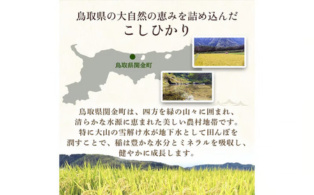 【在庫限定】令和7年産米 コシヒカリ 5kg （山崎農園）数量限定