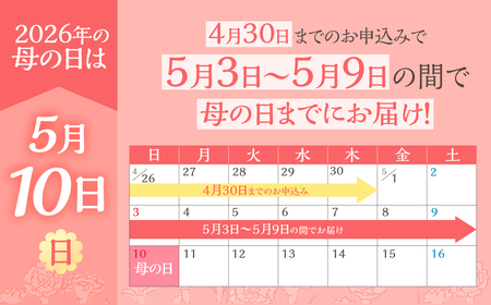 《母の日までにお届け》【いちごホイップ】カーネーション 鉢植え 5号鉢 花 フラワー ギフト 母の日 贈り物 プレゼント 母 ママ お母さん ありがとう 感謝 贈答 鉢