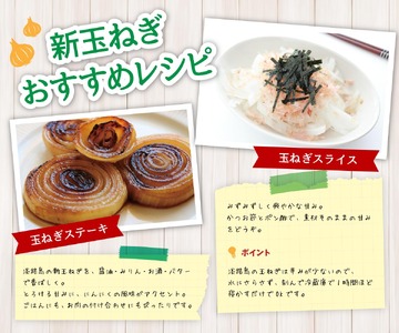 【予約販売】海月館 自社農場栽培！淡路島産 新玉ねぎ 10kg