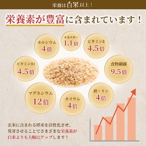特Aひとめぼれ米 残留農薬ゼロ 発芽玄米 1.5kg×1袋 令和7年度産 無洗米