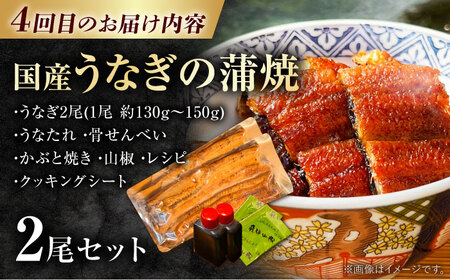 【 全4回 】 ごちそう定期便 お肉 うなぎ / 白川町[AWCE012] 定期便