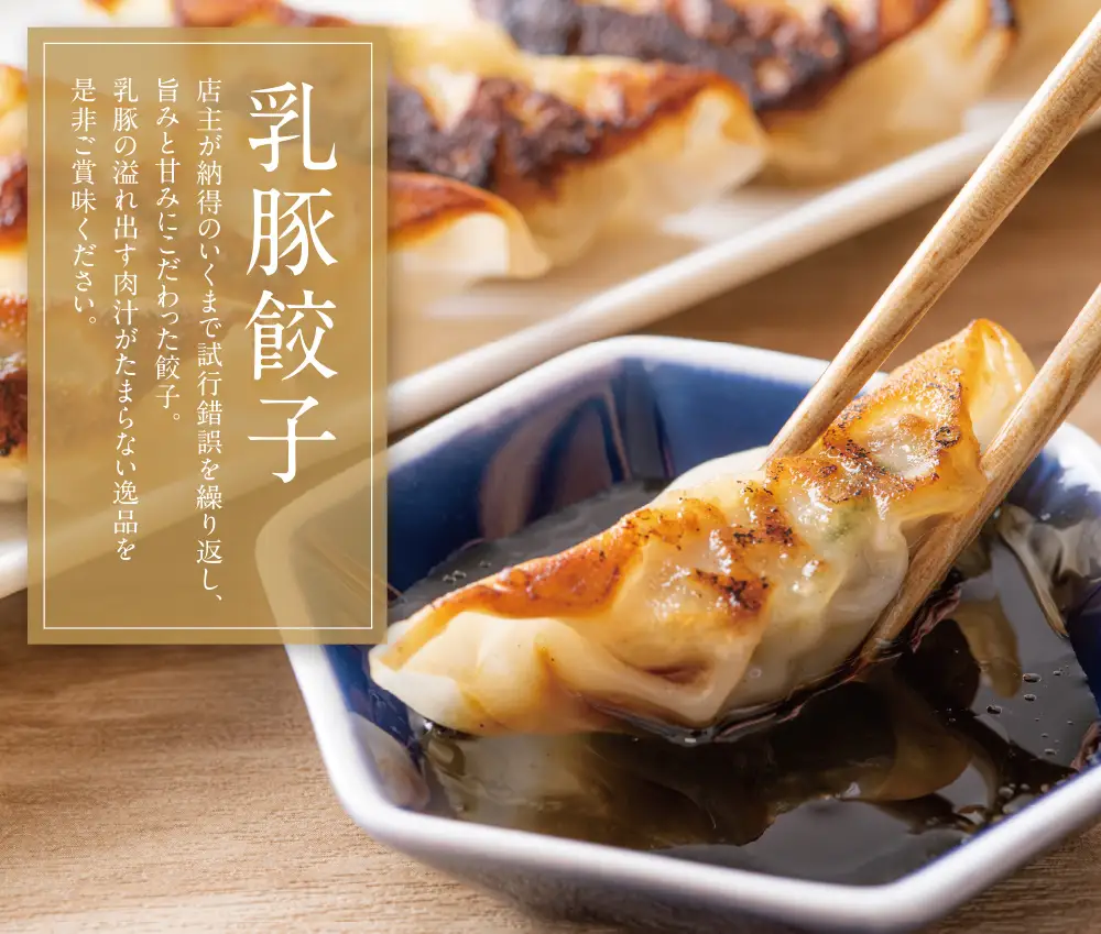 Z04-10 寄附額改定↓↓ 乳豚 餃子50個＆メンチカツ15個セット メンチカツ