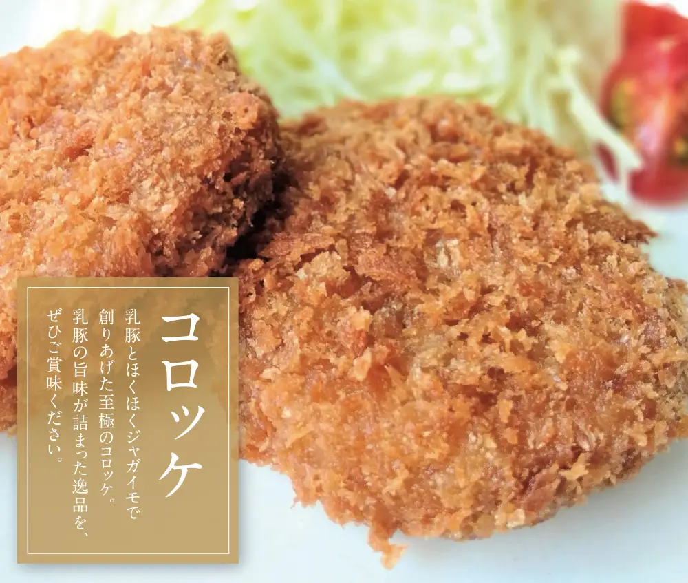 Z04-11 寄附額改定↓↓ 乳豚 餃子50個＆コロッケ10個セット コロッケ