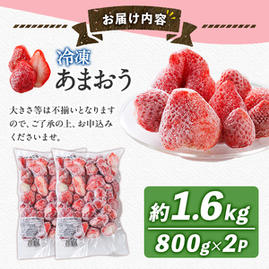 冷凍 あまおう (計1.6kg・800g×2袋) いちご イチゴ 苺 ストロベリー 果物 フルーツ おやつ デザート 冷凍 アマオウ 旬 小分け アイス シャーベット ジャム スムージー 冷凍フルーツ 真空パック 小分け 【農産物直売所ほたるの里】as52-013