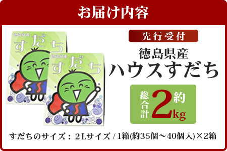 【先行受付】澄んだ空気と清らかな水で育った ハウスすだち 約2kg (2Lサイズ/1kg×2箱)「2026年6月より順次発送」【徳島県 那賀町 国産 すだち スダチ 酢橘 柑橘 果物 青果 特産品 果汁 薬味 酸味 お酒 料理 万能 調味料 産地直送】KF-1