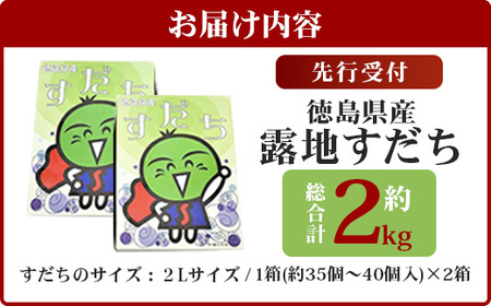 【先行受付】澄んだ空気と清らかな水で育った 露地すだち 約2kg (2Lサイズ/1kg×2箱)「2026年8月下旬より順次発送」【徳島県 那賀町 国産 特選 すだち スダチ 酢橘 柑橘 果物 青果 特産品 果汁 薬味 酸味 お酒 料理 万能 調味料 産地直送】KF-2