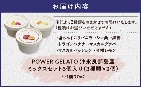 POWER GELATO（ ミックスセット 6個入り ） C073-004-01 冷凍 菓子 お菓子 スイーツ