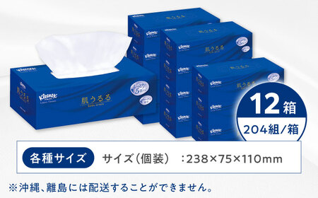 ティッシュペーパー ローション肌うるる 12箱(３箱ｘ4パック)開成町 ティッシュ ペーパー[BDBH005-2]
