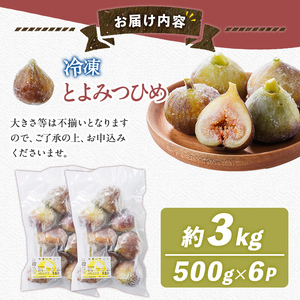 訳あり！冷凍 いちじく とよみつひめ (計3kg・500g×6袋) 冷凍 いちじく イチジク フルーツ 果物 くだもの 福岡限定 オリジナルブランド シャーベット コンポート パンケーキ 訳アリ 真空パック 小分け 【農産物直売所ほたるの里】as52-017