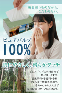 【令和8年5月～出荷】ティッシュペーパー ピュアパルプ ソフトパックティッシュ 60パック×400枚 200組 柔らか コンパクト 日用品 必需品 まとめ買い 常備品 備蓄 防災グッズ 熊本県 小国町 観光スポット紹介 オリジナル 常温配送
