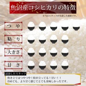 新潟県産コシヒカリ5kg　米 コメ こしひかり ブランド米 お取り寄せ 新潟市