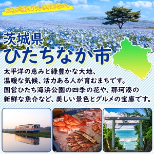 【2ヵ月毎定期便】紅鮭スモークサーモン スライス 80g×4パック全6回【配送不可地域：離島】【4076811】