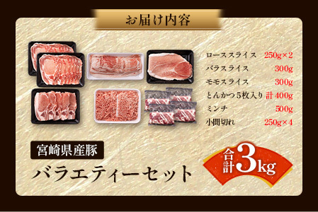 宮崎県産 豚バラエティーセット合計3kg※入金翌月中に出荷【B691】