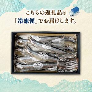 北海道産 さんま のいちばんぼし★ 10尾 干しさんま サンマ 秋刀魚 干物 北海道 海の幸 海鮮 F4F-9186