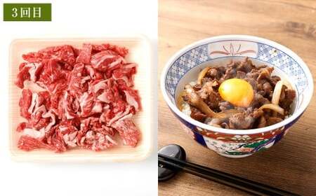 【3ヶ月定期便】 出荷数0.02％の奇跡 土佐あかうし 日常使い プチ 贅沢 Bセット （土佐あかうし 和牛 ミンチ 約300g ×2、 土佐あかうし和牛 スジ 約400g ×2、土佐あかうし和牛 コマ 切り落とし 約200g ×2） 計1.8kg 赤身 お肉 肉 牛肉 牛 あか牛 冷凍 高知県 香美市