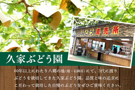 【2026年先行予約】ぶどう 定期便 ４回 葡萄 ブドウ フルーツ 果物 くだもの 産地直送 茨城県 石岡市 A04-009