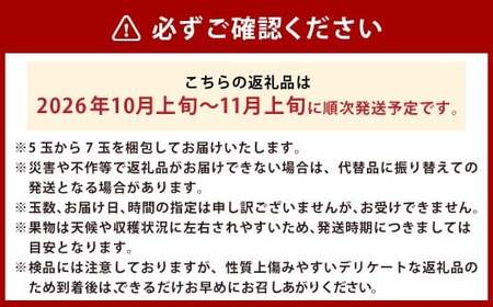 【先行予約】 梨の山茂梨園 新興梨 5玉から7玉（約2.5kg）【2026年10月上旬～11月上旬発送予定】 梨 なし ナシ 果物 くだもの フルーツ 果実 果汁 5玉 7玉
