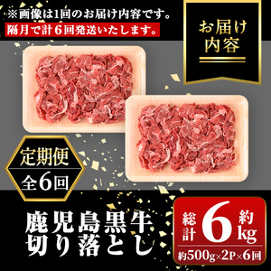 【E01011】＜定期便・全6回・隔月＞鹿児島黒牛 切り落とし(計約6kg・約500g×2P×6回) 鹿児島 国産 九州産 鹿児島県産 黒毛和牛 国産牛 牛肉 切り落し 切落とし 切落し お肉 冷凍 小分け すきやき すき焼き 牛すき 牛丼 カレー 肉じゃが 炒め物 【新村畜産】