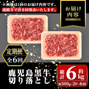 【E01010】＜定期便・全6回・連続月＞鹿児島黒牛 切り落とし(計約6kg・約500g×2P×6回) 鹿児島 国産 九州産 鹿児島県産 黒毛和牛 国産牛 牛肉 切り落し 切落とし 切落し お肉 冷凍 小分け すきやき すき焼き 牛すき 牛丼 カレー 肉じゃが 炒め物 【新村畜産】
