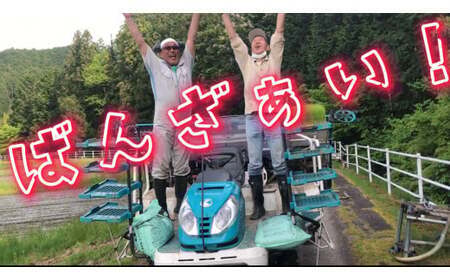 令和7年度産 農家直送「山ちゃんのお米」ミルキークイーン20kg