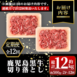 【F01001】＜定期便・全12回・連続月＞鹿児島黒牛 切り落とし(計約12kg・約500g×2P×12回) 鹿児島 国産 九州産 鹿児島県産 黒毛和牛 国産牛 牛肉 切り落し 切落とし 切落し お肉 冷凍 小分け すきやき すき焼き 牛すき 牛丼 カレー 肉じゃが 炒め物 【新村畜産】