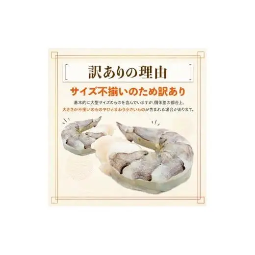 【3ヶ月定期便】 ブラックタイガー むきえび 1.2kg