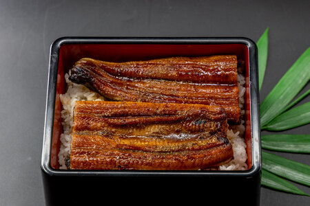 うなぎ 国産 うなぎ蒲焼セット カット4P (80g×4P 小袋たれ山椒付×4P) [静岡うなぎ漁業協同組合 静岡県 吉田町 22424688]