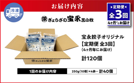 【 全3回 定期便 （ 4ヶ月毎 ） 】 宝永 餃子 10個入 セット （ 宝永餃子 10個入 × 4袋 ） 合計 1.0kg T004-T03-01 惣菜 総菜 加工食品
