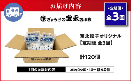 【 全3回 定期便 （ 毎月 ） 】 宝永 餃子 10個入 セット （ 宝永餃子 10個入 × 4袋 ） 合計 1.0kg T004-T03-02 惣菜 総菜 加工食品