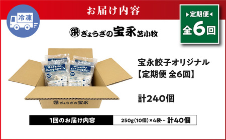 【 全6回 定期便 （ 毎月 ） 】 宝永 餃子 10個入 セット （ 宝永餃子 10個入 × 4袋 ） 合計 1.0kg T004-T03-04 惣菜 総菜 加工食品