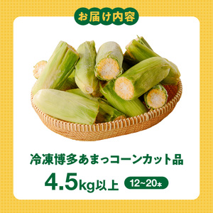 冷凍便！旬の時期に冷凍したSDGs米糠堆肥で作った博多あまっコーンカット品 4.5キロ以上（12～20本） _ 博多あまっコーン カット 4.5キロ以上 12 ～ 20本 カット品 とうもろこし 国産 冷凍 メロンより甘い プレミアムコーン ふくおかエコ農産物 コーン フルーツのような甘さ 野菜 酒見農産 お取り寄せ 福岡県 久留米市 送料無料  〔Gv051〕