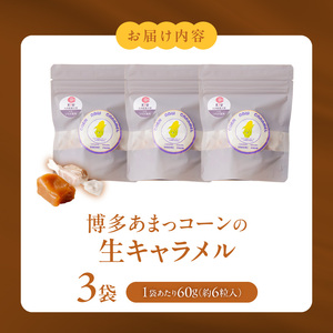 【冷凍発送】旬のとうもろこしの甘味をそのままに！博多あまっコーンの生キャラメル60g（約6粒入り）×3袋 _ 博多あまっコーン 生キャラメル 60g 約6粒入り × 3袋 とうもろこし 酒見農産 岩塩入り キャラメル お菓子 洋菓子 スイーツ おやつ ティータイム 食品 加工品 お取り寄せ お取り寄せグルメ 福岡県 久留米市 送料無料  〔Dw091〕
