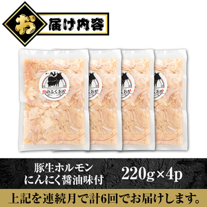 【C79011】＜定期便・全6回＞豚生ホルモンにんにく醤油味付(計5.28kg・220g×4P×6回) 鹿児島 豚肉 ホルモン 生ホルモン にんにく 醤油 おかず 加工品 味付け おつまみ 小分け パック 冷凍 冷凍食品 お弁当【肉のふくおか】