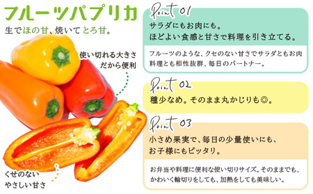 野菜 サラ商品とふるさとフレッシュ便 旬野菜セット