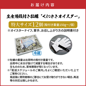 牡蠣 生食用 殻付き くにさきオイスター 特大サイズ12個（殻付き重量150g～/個）　【オイスターナイフ付き】 カキ oyster 生牡蠣_2361R-2